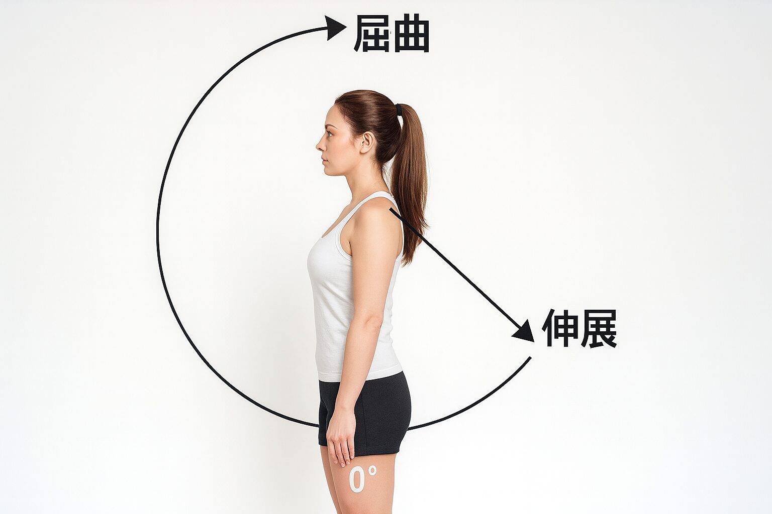 肩関節屈曲伸展可動域の画像