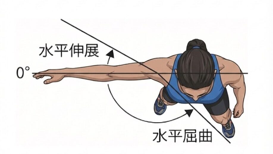 水平外転可動域のイラスト