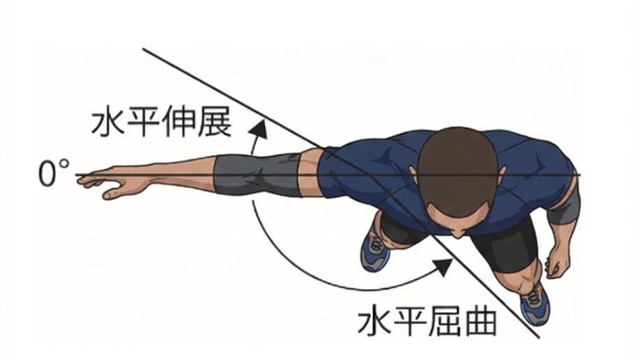 スポーツウェアを着た男性のイラストを用いた、肩関節の水平屈曲と水平伸展の可動域を示す図解。